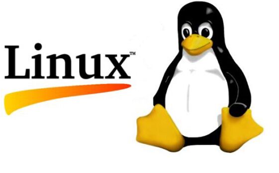 Linux數據恢復
